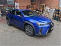 LEXUS UX Hybrid F Sport