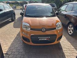 FIAT PANDA 1.2 Dynamic 69cv E5