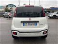 FIAT PANDA CROSS Panda Cross 1.0 FireFly S&S Hybrid