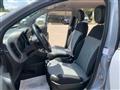 FIAT PANDA 1.2 LOUNGE AZIENDALE GUIDABILE NEOPATENTATO