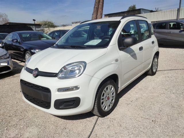 FIAT PANDA 1.2 Easy 69cv CLIMA MANUALE OK NEOPATENTATI