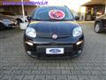 FIAT PANDA 1.0 FIREFLY S&S HYBRID 5 POSTI