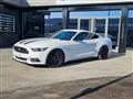 FORD MUSTANG Fastback 3.7 v6 Auto OLTRE 15000 ? DI ACCESSORI