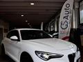 ALFA ROMEO STELVIO 2.2 Turbodiesel 210 CV AT8 Q4 Executive