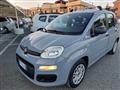 FIAT PANDA 1.2 Unico proprietario km 79000 Clima Sensori