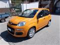 FIAT PANDA 1.0 firefly hybrid 70cv