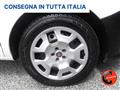 FIAT DOBLÒ (MAXI)COIMBENTATO-TRASPORTO FARMACI-1.6 MJT 105 CV