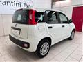 FIAT PANDA 1.2 BENZ NEOPATENTATI GARANZIA 12 MESI