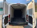 FORD TRANSIT 310 2.0TDCi EcoBlue 170CV PL-TM Furgone Trend