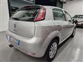 FIAT Punto 5p 1.2 Lounge  NEOPATENTATI