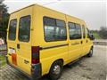 FIAT Ducato Mini bus 16 posti Ducato 10 1.9 TD PC Furgone Vetrato