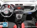 FIAT PANDA 1.2 69cv S&S Pop E6D-temp