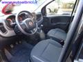 FIAT PANDA 1.0 FIREFLY S&S HYBRID 5 POSTI