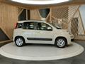 FIAT Panda 1.3 mjt 16v Pop 75cv