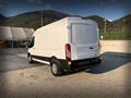 FORD TRANSIT 310 2.0TDCi EcoBlue 170CV PL-TM Furgone Trend