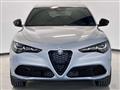 ALFA ROMEO STELVIO 2.2 Turbodiesel 210 CV AT8 Q4 Veloce