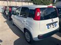 FIAT PANDA 1.3 MJT 80 CV S&S