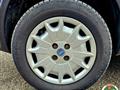 FIAT PANDA 1.2 4x4 Climbing  NEOPATENTATO