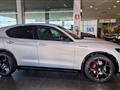 ALFA ROMEO STELVIO 2.2 Turbodiesel 210 CV AT8 Q4 Competizione