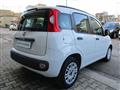 FIAT PANDA 1.2 69cv EasyPower Easy