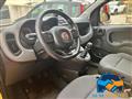 FIAT PANDA 1.0 FireFly S&S Hybrid City Cross 70 cv