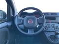 FIAT PANDA III 2021 1.0 firefly hybrid s&s 70cv