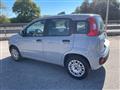 FIAT PANDA 1.2 Trussardi