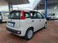 FIAT PANDA 1.2 EasyPower Easy