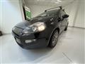 FIAT PUNTO 1.2 8V 5 porte Easy