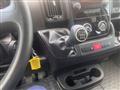 FIAT DUCATO 33 2.3 MJT 140CV PLM-TA Furgone