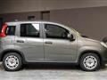 FIAT PANDA Hybrid 1.0 70cv