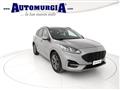 FORD KUGA 1.5 EcoBlue 120 CV aut. 2WD ST-Line