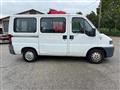 FIAT DUCATO 14 9posti ducato Furgone Bellissima