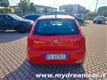 FIAT PUNTO 1.2 8V 5 porte Young NEOPATENTATI