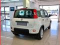 FIAT Panda 1.0 FireFly S&S Hybrid MY24 KM ZERO!!! IVATA NEOPATENTATI