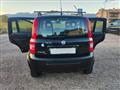 FIAT PANDA 1.2 BENZINA 4x4 Climbing