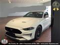 FORD MUSTANG Fastback 5.0 V8 GT  CERTIFICATA FORD EUROPEA