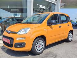 FIAT PANDA 1.2 Easy IDEALE PER NEO PATENTATI, IVA ESPOSTA