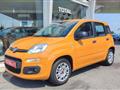 FIAT PANDA 1.2 Easy IDEALE PER NEO PATENTATI, IVA ESPOSTA