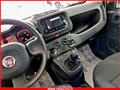 FIAT Panda 1.0 FireFly S&S Hybrid MY24 KM ZERO!!! IVATA NEOPATENTATI