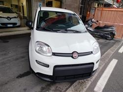 FIAT PANDA 1.0 FireFly S&S Hybrid KM 0