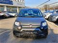 FIAT PANDA CROSS Cross Gpl/B 1.0 FireFly S&S