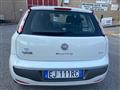 FIAT PUNTO 1.4 5 porte Active Natural Power