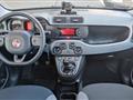 FIAT PANDA 1.0 FireFly S&S Hybrid City Life OK NEO PATENTATI