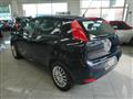 FIAT PUNTO 1.2 8V 5 porte Street