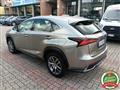 LEXUS NX Hybrid 4WD Luxury