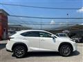 LEXUS NX Hybrid Business 197CV 4wd