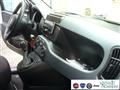 FIAT PANDA 1.0 FireFly S&S Hybrid Pandina Urban Radio Km 0