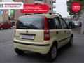 FIAT PANDA 1.2 Dynamic Natural Power