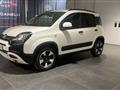 FIAT PANDA CROSS Panda Cross 1.0 FireFly S&S Hybrid